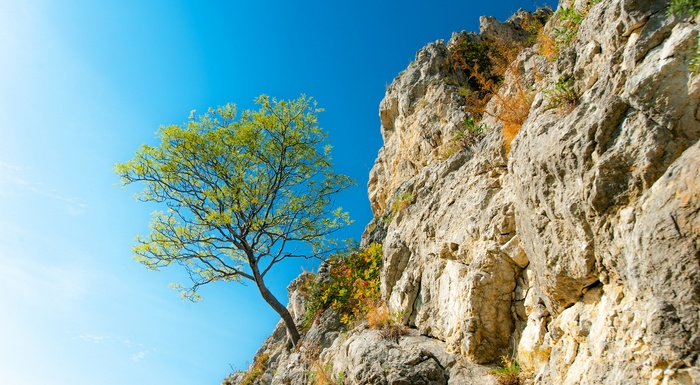 Resilienz - Innere Stärke für den Alltag