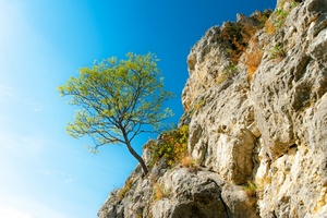Resilienz - Innere Stärke für den Alltag
